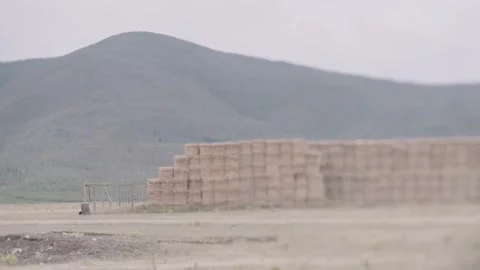 Tilt-shift lens of Haystack on a Farm in Rural Colorado Vídeo Stock 307165250