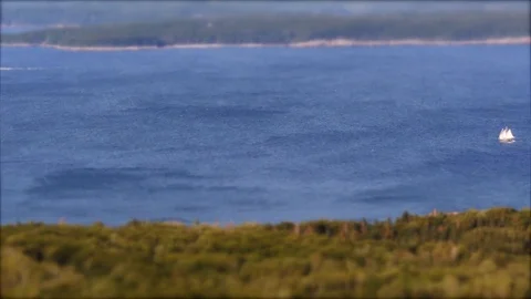 Tilt shift: Miniature Sailboat passing by at Acadia National Park in Maine, USA. Stock Footage 100058262
