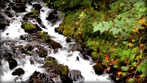 Tilt shift running stream Stock Footage 74097029