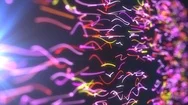 Tilt Shift Squiggly Lines Stock Footage