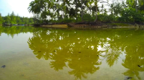 Tilt shift time lapse of river mouth lagoon with hermit crabs. 4K resolution Stock Footage 40267630