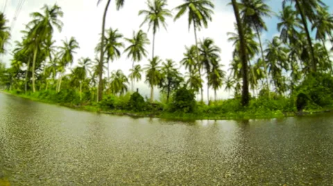 Tilt shift time lapse of wet road surrounded by tropical greenery. 4K Video stock 40392664