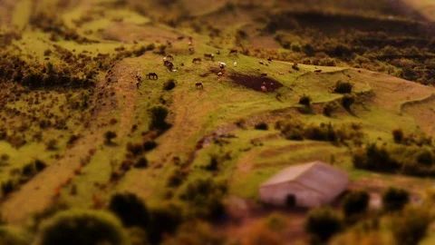 Tilt Shift: Tiny horses grazing in the beautiful mountains of La Rioja, Spain Stock Footage 98011909