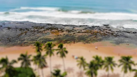 Tilt Shift from tropical beach, blue water, coconut trees and people walking. Stock Footage 115737554