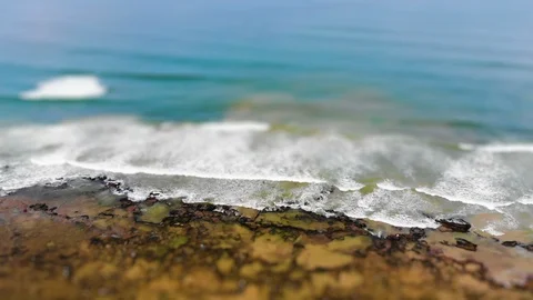 Tilt Shift from tropical beach, blue water, coconut trees and people walking. Stock Footage 115739078