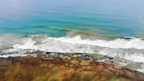 Tilt Shift from tropical beach, blue water, coconut trees and people walking. Stock Footage 115740066
