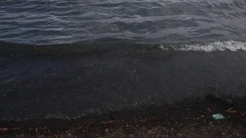 Tilt up from shoreline to ocean Stock Footage 89588422