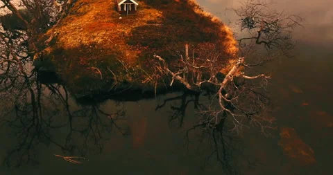 Tilt Up Shot Of Bare Trees On Abandoned Island In Frozen Lake By Snowy Mountains Stock Footage 233944790