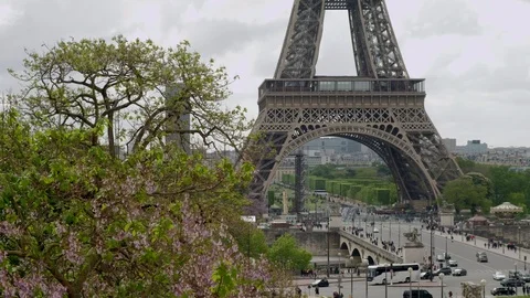 Tilt shot from blossoming tree up the Eiffel Tower Stock Footage 114556776