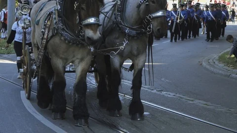 Tilt shot, of brown horses pulling a wagon, at a old time parade, at Stock-Footage 97649985