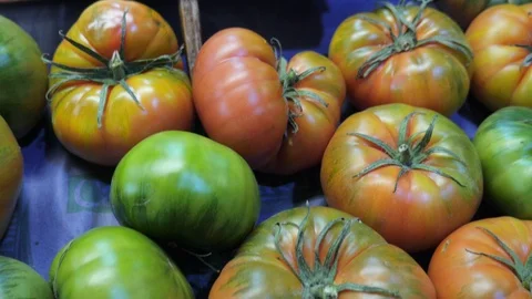Tilt up shot of bulk raf tomatoes ending on a scrubby black board with the price Stock Footage 124462500