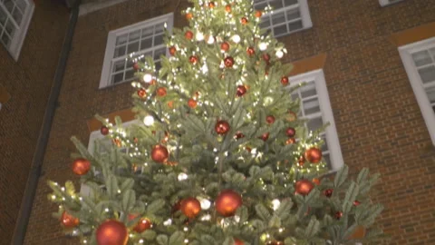 A tilt shot of a Christmas tree in front of a building. Stock Footage 144802414
