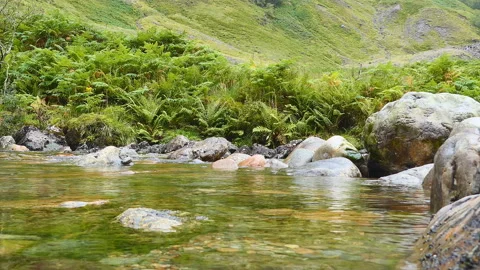 A tilt shot of a clear mountain spring water and mountains. 動画素材 112680577