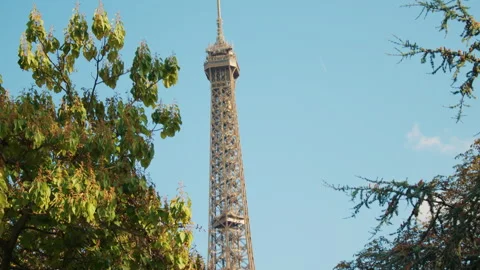 Tilt shot of the Eiffel Tower seen through green tree branches Stock Footage 313412341