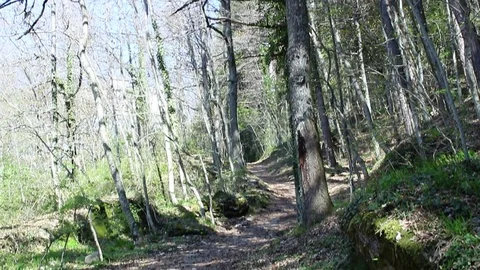 Tilt up shot from the footpath Stock Footage 75208935