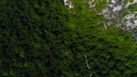 Tilt Shot Of Forest Mountain Video stock 89303830