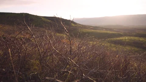 Tilt up shot of grassy plain Stock Footage 118654823