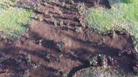 Tilt shot from the ground Casa Presei Video stock 63314794