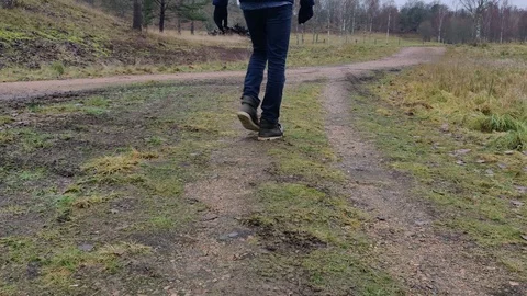 Tilt shot of Guy Walking a Trail into Forest Stock Footage 99792681