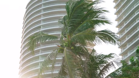 Tilt up shot of high multi-storey white hotel building on the beach with coconut Stock Footage 307757768