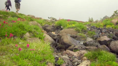Tilt up shot of hikers Video stock 59329409
