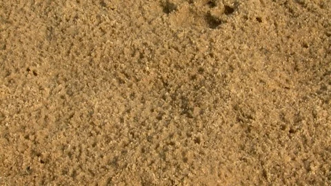 Tilt Shot of Leopard Tracks Video stock 106833618