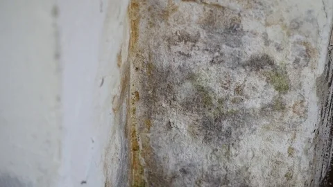Tilt shot of moisture on the wall Stock Footage 88784381