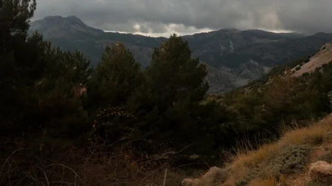 Tilt up shot  on mountains, pine trees, dramatic nice cloudy sky. Stock Footage 121212522
