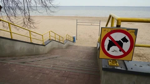 Tilt up Shot Of No Dogs Allowed Sign At Puck Beach Stairs Stock Footage 343898170