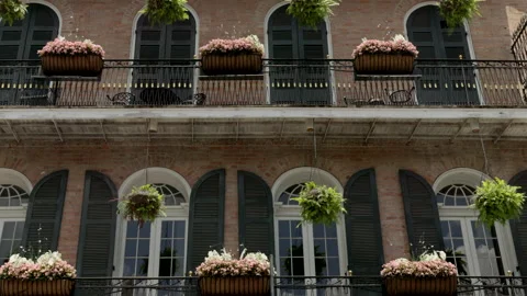 Tilt up shot of planter boxes on a historic building in the french quarter Stock-Footage 200093304