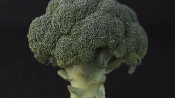 Tilt Shot of Roman Cabbage Stock Footage 85884648