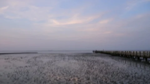 Tilt shot from sky to ebb 動画素材 113330580