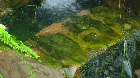 Tilt up shot of a small waterfall Stock Footage