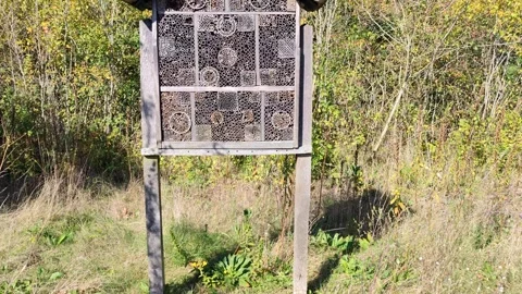 Tilt shot of a wooden insect bug hotel that is built in a forest Stock Footage 287445848