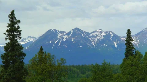 Tilt from Sky to Forest and Mountain Stock Footage 37377853