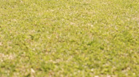Tilt up slow motion shot of five children running towards camera in park. Video stock 43673119