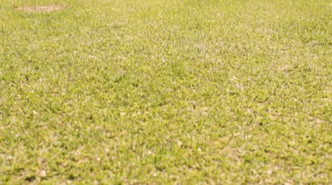 Tilt up slow motion shot of five children running towards camera in park. Stock Footage 43673127