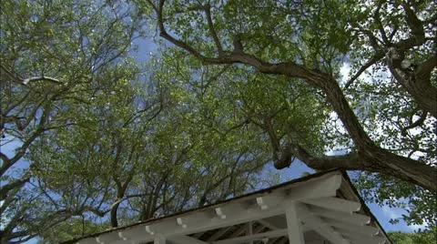 Tilt to small beach cafe Stock Footage 22664556