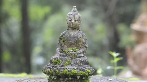 Tilt up small Buddha statue in temple. Video stock 79747053