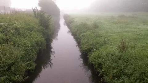 Tilt: Small stream named Lauter in the morning mist, rural Rhineland-Palatinate Stock Footage 79596482