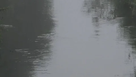 Tilt: Small stream named Lauter on a foggy morning, rural Rhineland-Palatinate Stock Footage 79596521