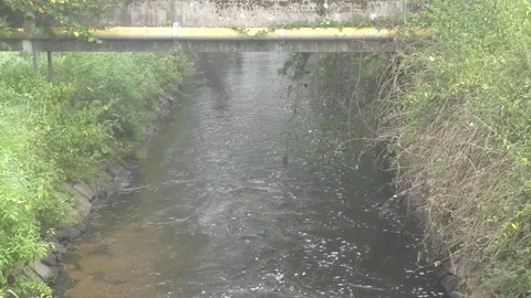 Tilt: Small stream named Lauter, misty morning, stone covering for water pipes Stock Footage 79596630