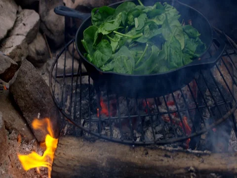 Tilt Up Spinach over Campfire Vídeos de archivo 80810370