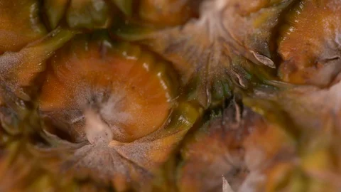 Tilt Up of Textured Pineapple Video stock 130137640