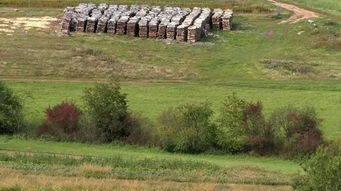 Tilt: Timber yard (lumberyard) with piles of wood on a pasture, fields, trees Stock Footage 80273540