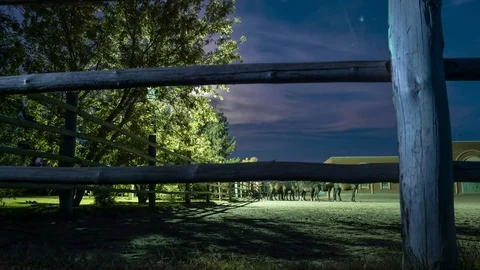 Tilt-up time lapse of operating horse-breeding farm surrounded by a wooden fence Stock Footage 75332279