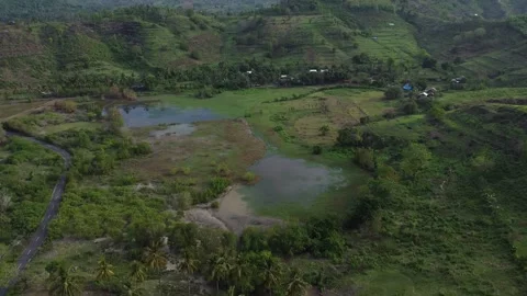 TILT UP TOWARDS MOUNTAINS Stock Footage 221303204