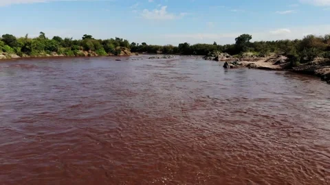 Tilt up tracking shot down stream of brownish red water in Africa Video stock 155464192