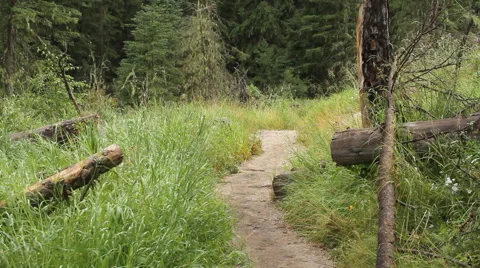 Tilt up from trail to rock mountain Stock Footage 40575131