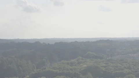 Tilt up from trees all the way to the clouds Stock Footage 92377862